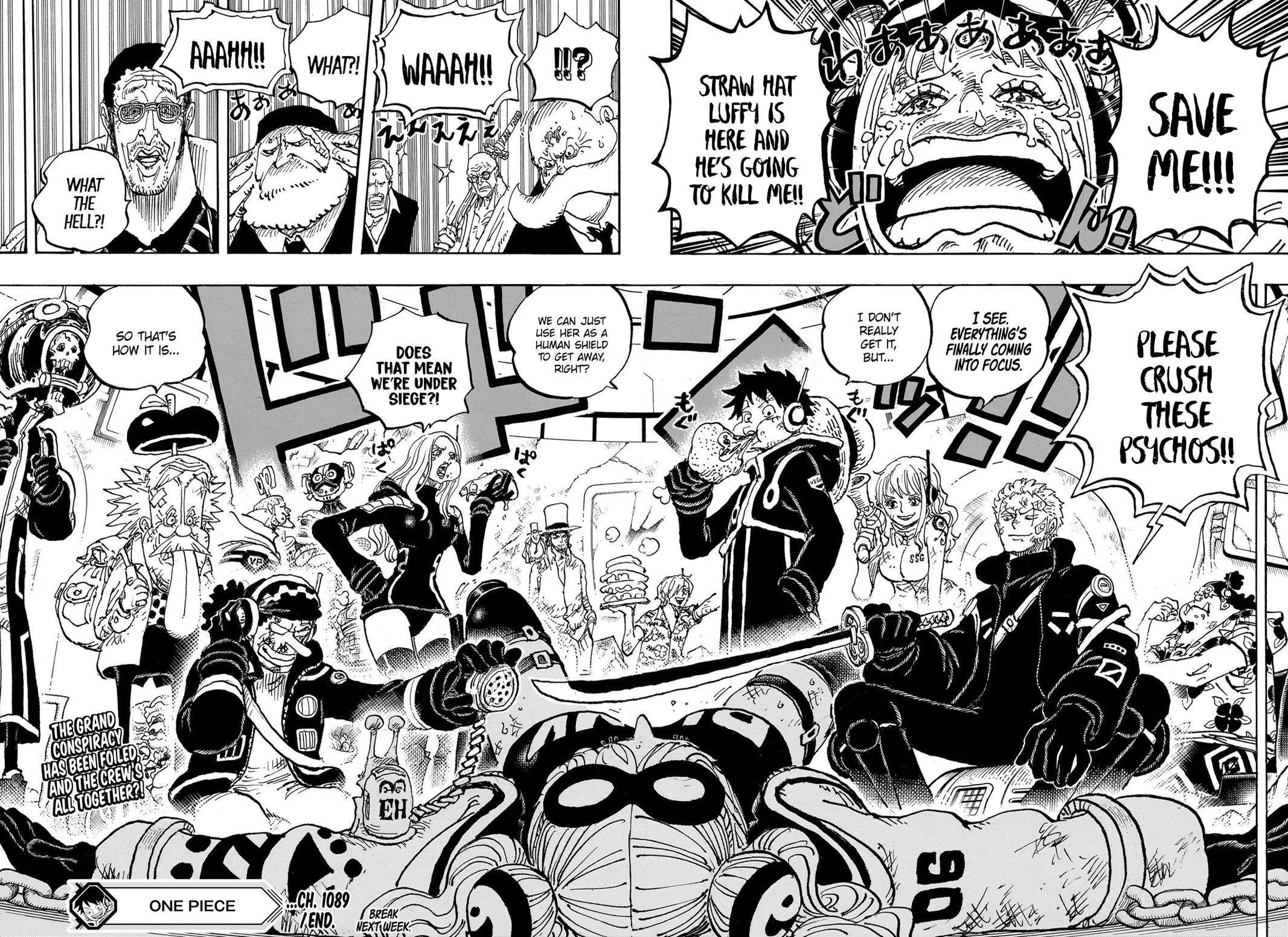 One Piece Chapter 1089 17